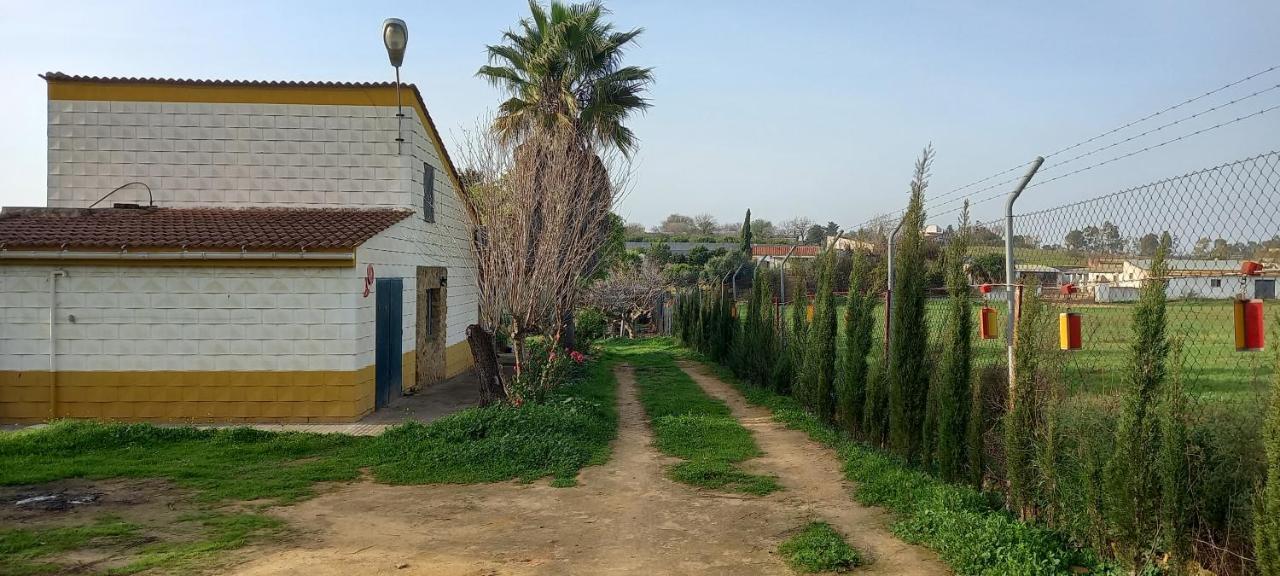 Huerta El Genoves Villa Carmona  Eksteriør billede