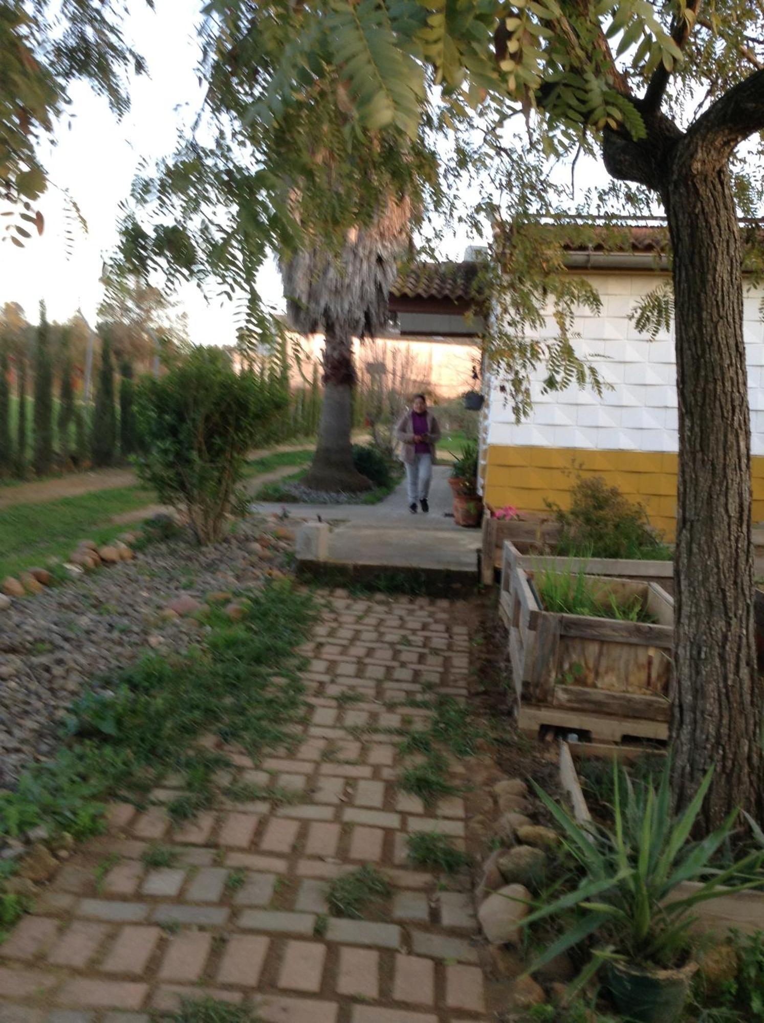 Huerta El Genoves Villa Carmona  Eksteriør billede