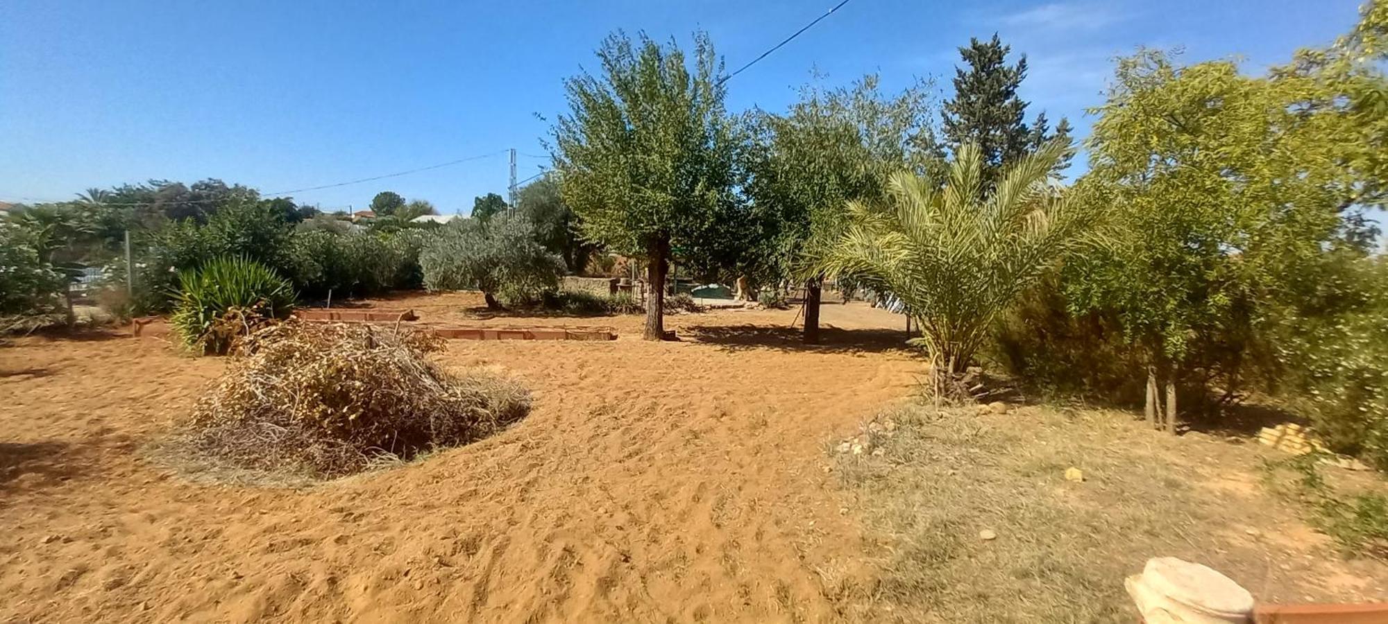 Huerta El Genoves Villa Carmona  Eksteriør billede
